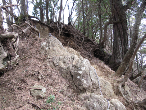 20170113hike (319)